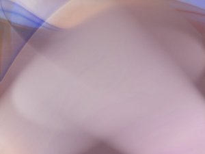 知识库